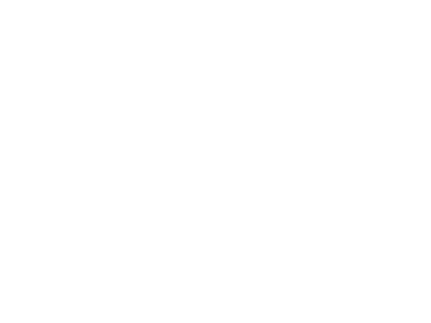 STM Travel